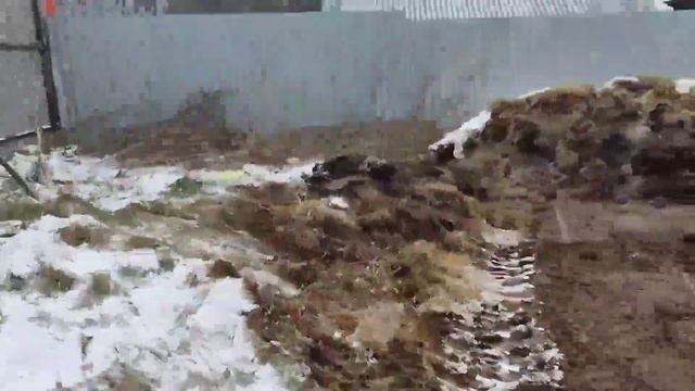 Куда деть навоз! Как утилизировать навоз !