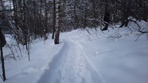 Прогулка вдоль реки Пехорка в -20 °C . Балашиха. Подмосковье. 17 января 2020 года. [ 4k 60fps ]