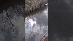 БЕСПРЕДЕЛ в селе ПЛЕШКОВО!