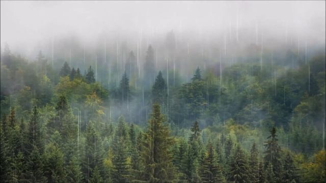 ВЕДЬМА в ДЕРЕВНЕ /2 страшные истории из реальной жизни смотреть онлайн