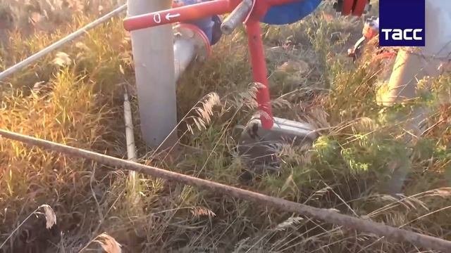 ФСБ предотвратила теракт на нефтепроводе в Волгоградской области
