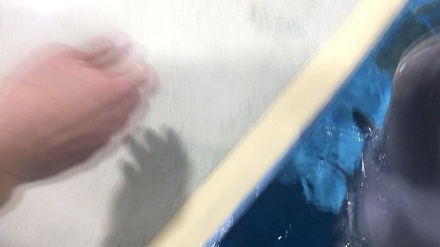 14-11-2023 в ожидании развлекухи