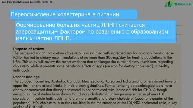 Майкл Грегер. Польза яиц и размер холестерина смотреть онлайн