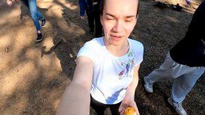 БЛОЖИК Solar Systo 2023. Как мы съездили на фестиваль Систо. Честный обзор от Trip to Sun Productio