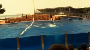 Marineland Mallorca 2011