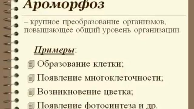 Направления эволюции.AVI смотреть онлайн