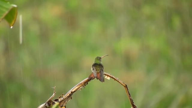 Расслабляющая Музыка Для Учёбы, Работы, Отдыха, Медитации | Музыка Эмбиент | AMBIENT RELAXING MUSIC смотреть онлайн