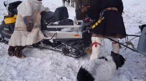 в гостях у оленеводов воркуты