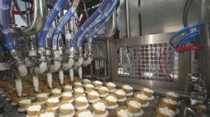 Производство мороженого и вафельной продукции  под собственной торговой маркой