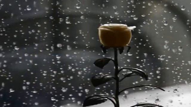 Ты приходишь во сне... смотреть онлайн