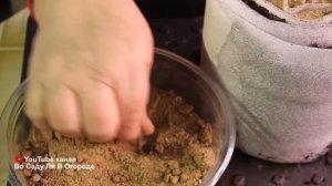 ЛАВАНДА взойдет ЩЕТКОЙ! Посев лаванды БЕЗ ПИКИРОВКИ.