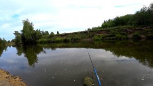 Я вообще-то на колбасу ловлю.., на колбасу!?