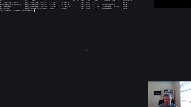 How to Configure Different SSL Termination Types in Openshift Environment смотреть онлайн