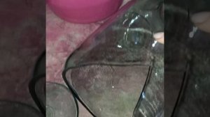 Закрыла на зиму кампот из? винограда и ?яблок#хозяйничаемвместе #кампот#виноград