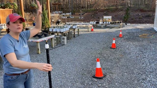 Tour of New Greenhouse with Flowering Annuals | Gardening with Creekside смотреть онлайн