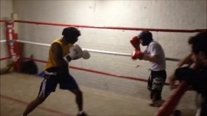 Alex "AK47" Keshtov, Sparring Sessions; K Dojo Warrior Tribe