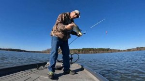 Bay Springs Bass Fishing