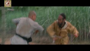 Багуачжан - боевое искусство телохранителей Baguazhang Bodyguards thaditional martial arts