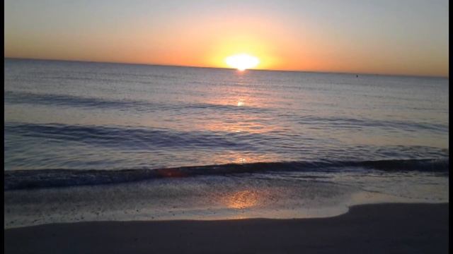 Vance Joy - Riptide/ #ЯлюблюТебякогдаТы_поешьэтуПесню смотреть онлайн