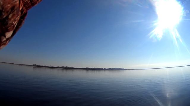 Топ 5: лучшие виброхвосты для ловли судака смотреть онлайн