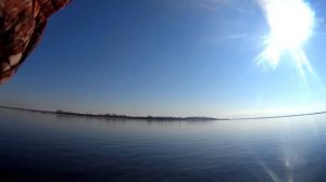 Топ 5: лучшие виброхвосты для ловли судака