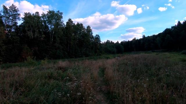 2022 8 13 РАЁК смотреть онлайн