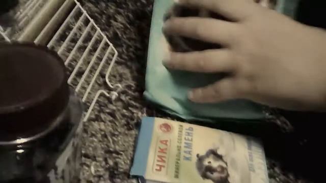 Морские. Свинки. смотреть онлайн