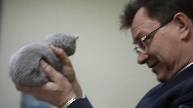 Россельхознадзор к Олимпиаде готов смотреть онлайн