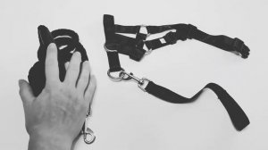 НЕДОУЗДОК ДЛЯ СОБАК 2.0: инструкция по использованию