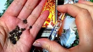 Добавьте Это в шампунь!Для Роста Густых волос! Разбудит Спящие волосы! Остановит Облысение!