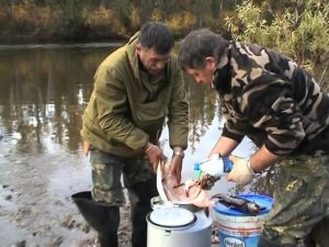 Увидеть водопад. Бий Хем