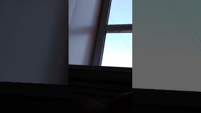 отдыхаю