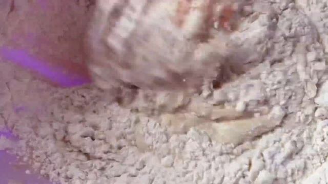 Бабулины пирожки с луком-яйцом и сосиски в тесте.Семейный рецепт дрожжевого теста.Бабулины посиделк