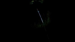 Рыбалка на сома.Ловля сома на дождевого червя.Донная снасть.My fishing!!!