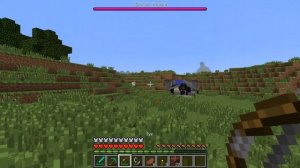 Как вырастить дракона края в майнкрафт?