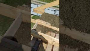 начал заливать перекрытие из опилкобетона..