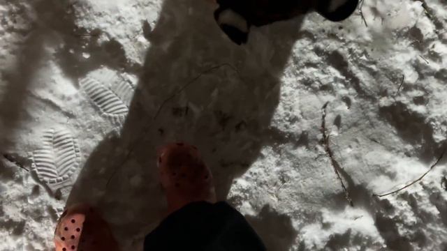 Тигр Ройс уронил меня!)) смотреть онлайн