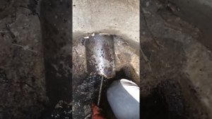 Избавляемся от проросших корней в канализационной трубе