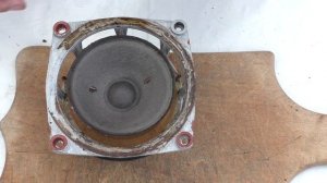 Амфитон 25АС 027 под пломбами! Меняем подвесы и слушаем!