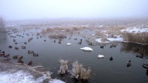 Самая красивая музыка, можно слушать бесконечно Сергей Грищук! Трогательная музыка для души #8