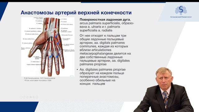 Артерии верхней и нижней конечности. Коллатеральное кровообращение смотреть онлайн