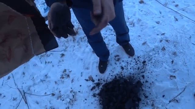 ВЛОГ:ШОКОЛАДКА VS ВАСАБИ/УГОЛЁК ПРОТИВ ЧЁРНЫХ ТОЧЕК!!! смотреть онлайн