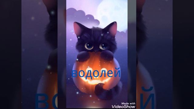 Какой ты котик по знаку зодиага? смотреть онлайн