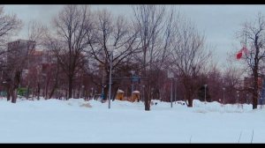 Raspberry PI к Pixhawk, 1часть