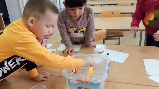 Опыт со скорлупой грецкого ореха "Кораблик из природного материала" смотреть онлайн