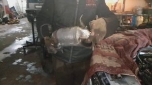 Чип-тюнинг Chery Tiggo 7 pro 2022 года. Зачем владельцы такси удаляют сразу катализаторы.