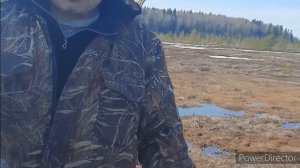 Весенняя охота на гуся.Охотимся на болоте.