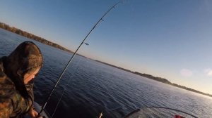 ИСТРИНСКОЕ ВОДОХРАНИЛИЩЕ/ СПИННИНГ/РЫБАЛКА/ СУДАК