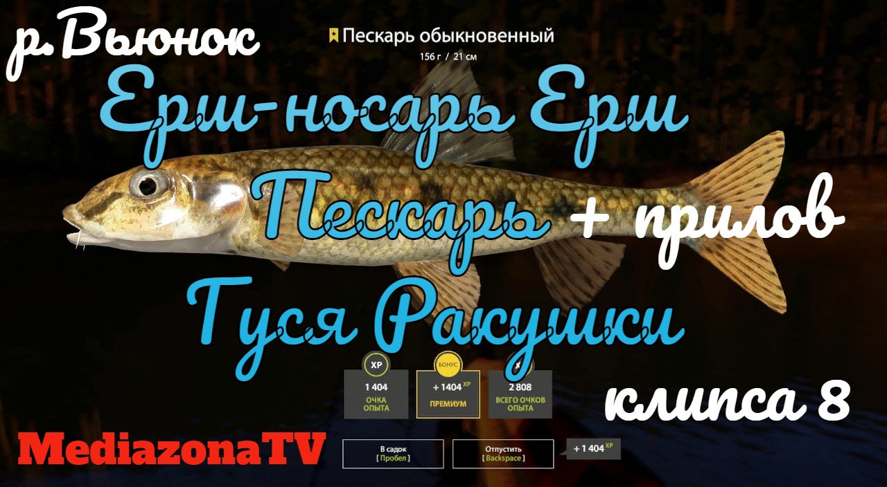 Носарь вьюнок. Рыбалка ТВ. Цепрус где рыбачить. Две хаски рыбалка. Точки ерша на реке Вьюнок.