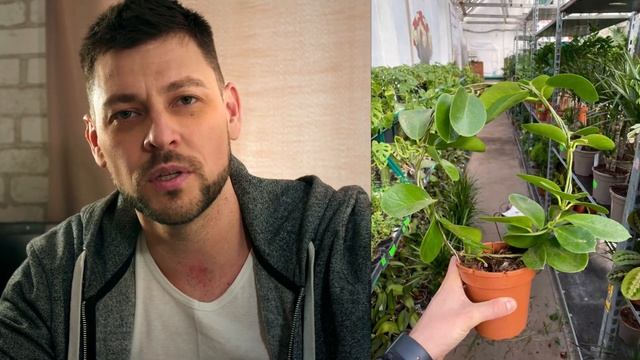 Как создавался ролик для испанской косметологической компании "Monteral" смотреть онлайн